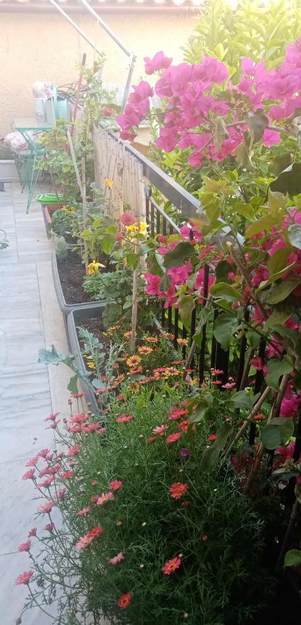 Aegina'S Flowers House Екстериор снимка