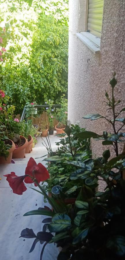 Aegina'S Flowers House Екстериор снимка