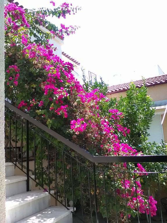 Aegina'S Flowers House Екстериор снимка