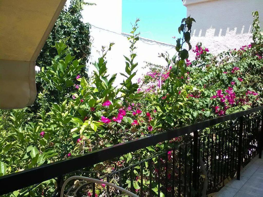 Aegina'S Flowers House Екстериор снимка
