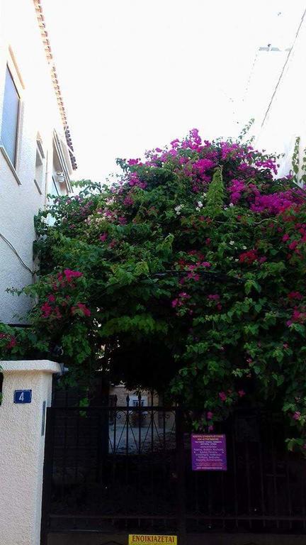 Aegina'S Flowers House Екстериор снимка