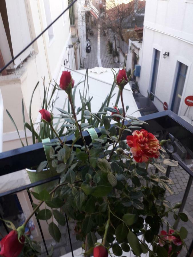 Aegina'S Flowers House Екстериор снимка