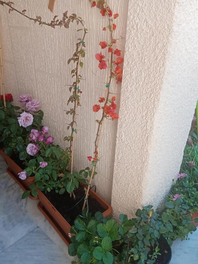 Aegina'S Flowers House Екстериор снимка