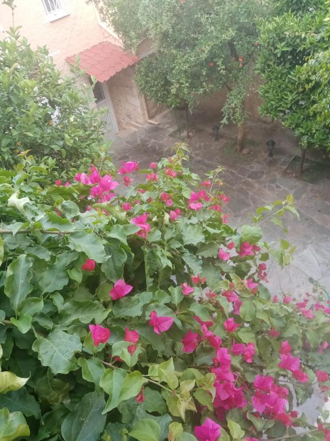 Aegina'S Flowers House Екстериор снимка